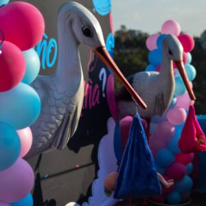 Cigüeñas Decorativas para Revelación de Género – 2 m de Altura